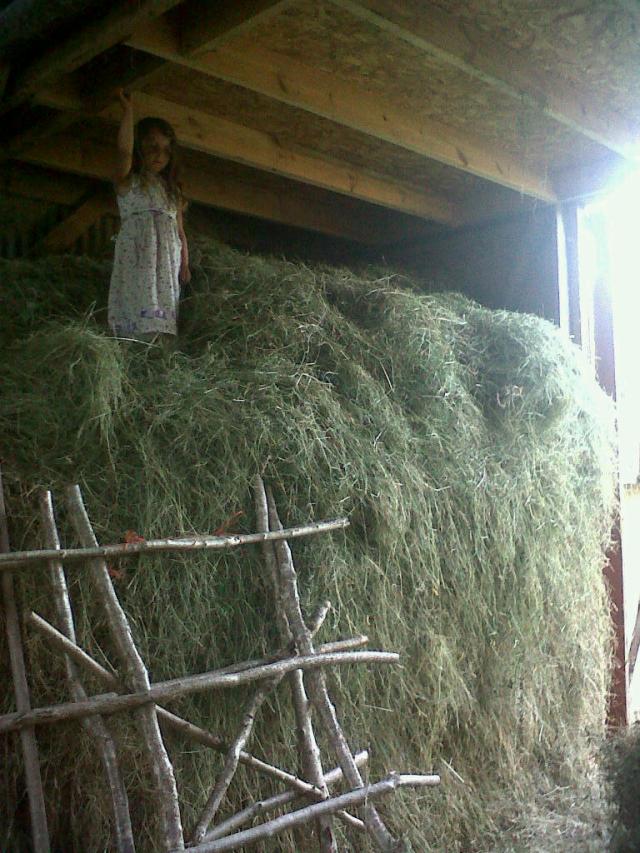 One of the hay stacks in the barn.