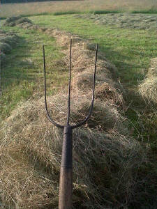 Unusual 3-pronged pitchfork we found on a recent trip to Cornwall.