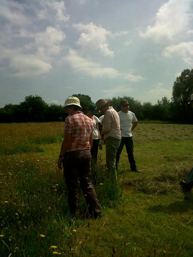 Members of the Dyfed Smallholders Association identifying flowers in the uncut grass.