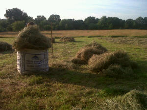 Piles of hay ready for stuffing into the dumpy sack