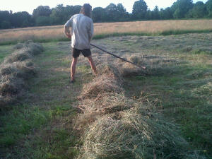 Rowing up with a hayrake
